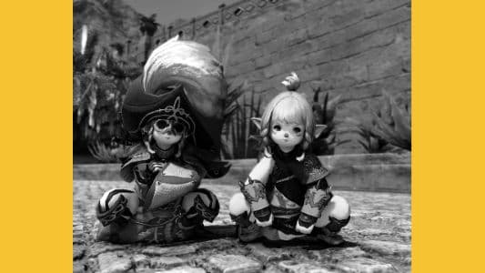 Background picture of Cdbarnezy