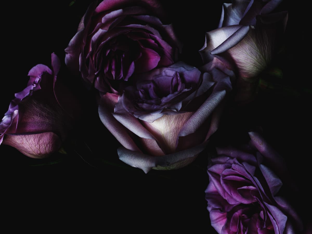 Background picture of pixiedoe