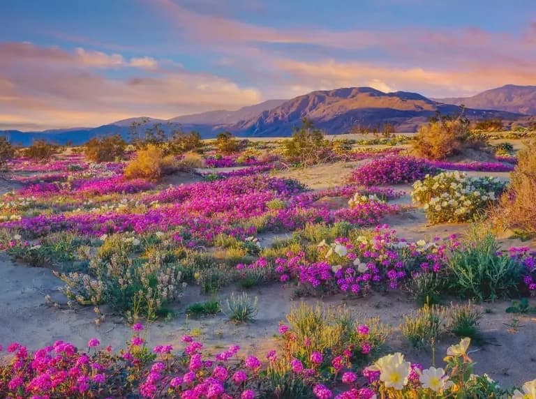 Background picture of Lucy Thorne