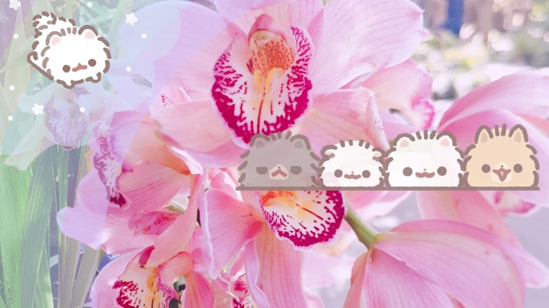 Background picture of Phaedra 🌸