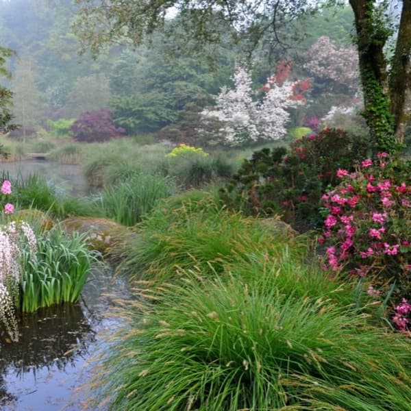 Background picture of Princess Kitty 🦋