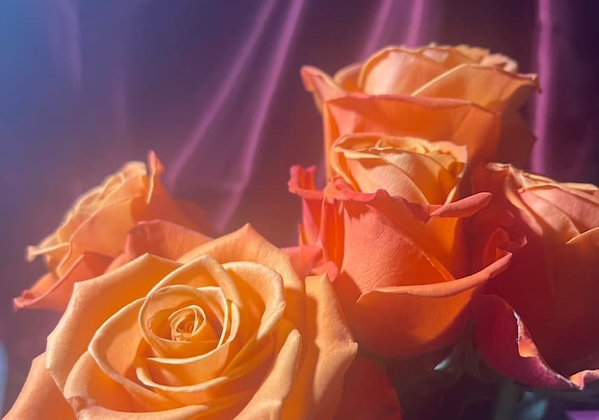 Background picture of Evelyn Lace