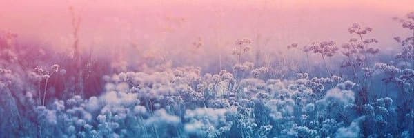 Background picture of Bananiehan