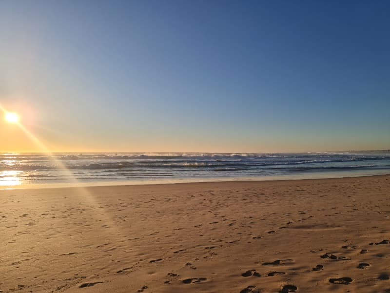 Background picture of Allie