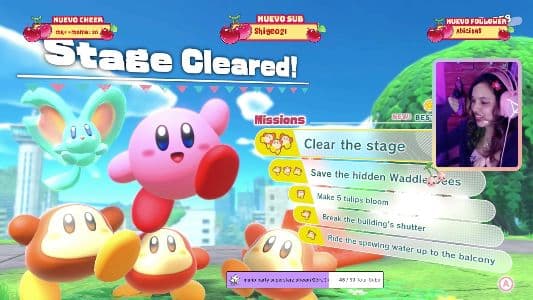 Background picture of cherripai