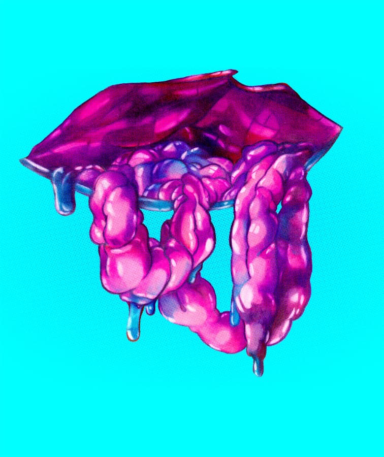 Background picture of Rose M Honeyboy