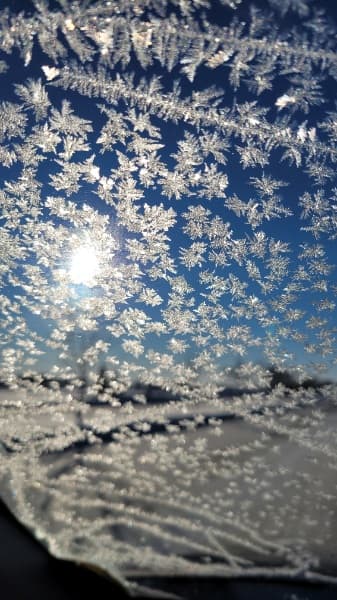 Background picture of Fit Little Redhead