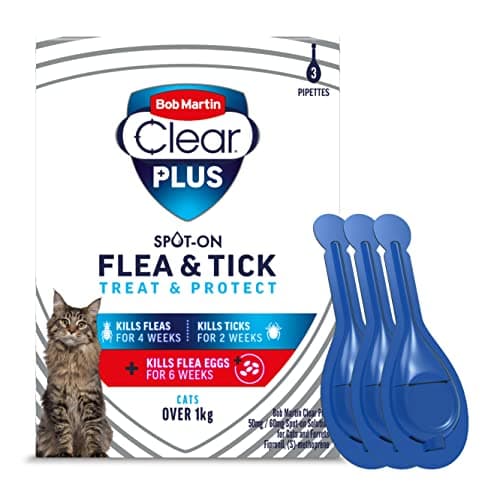 cat goodies